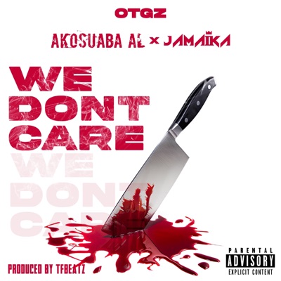 We Dont Care - Single