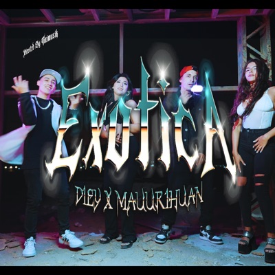 Exotica (feat. Diey FJ & Tinimusik) - Single