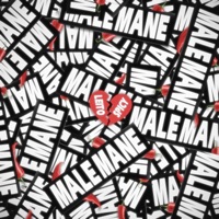 Male Mane - Single - Behzad Leito