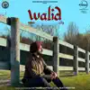 Satinder Sartaaj - Walid