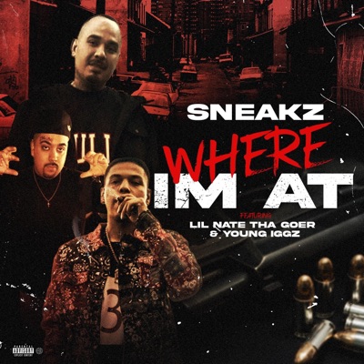 Where Im at (feat. Lil Nate tha goer & Young Iggz) - Single
