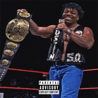 Stoned Stunner $Nip - Single - Larry cartier