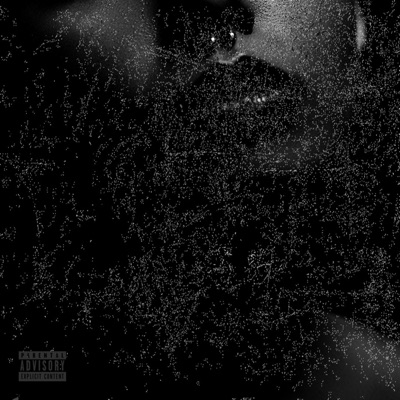 Diamond Pussy - Single