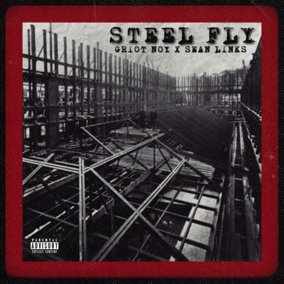 Steel Fly