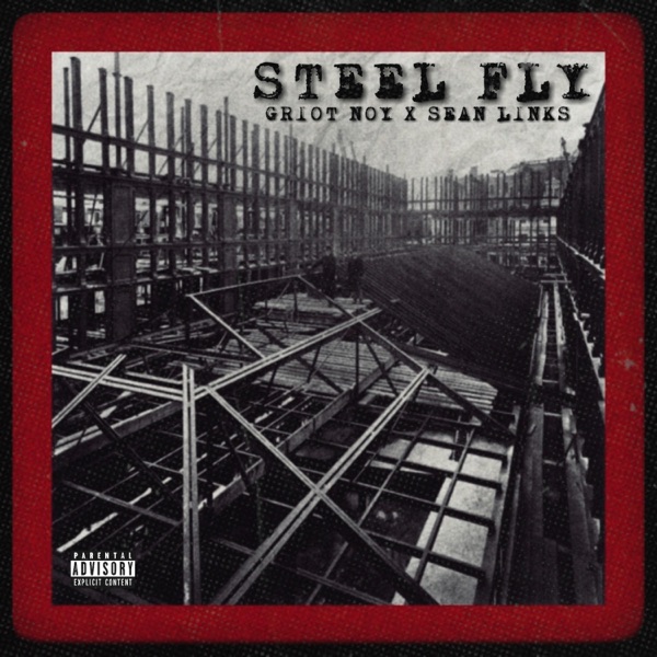 Steel Fly