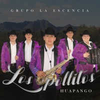 Los Pollitos Huapango - Single - Grupo La Escencia