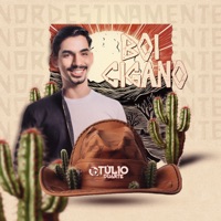 Boi Cigano - Single - Túlio Duarte