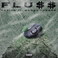 Fluss (feat. Dandy Turner) - Single - Sesino