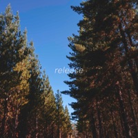 Release - Single - Zebatin