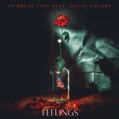 Feelings (feat. Julian Vaughn) artwork
