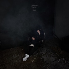 Свитер Mentorn