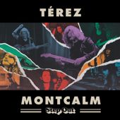 Step out cover