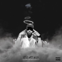 Wasted - Single - VaughnBornFamous