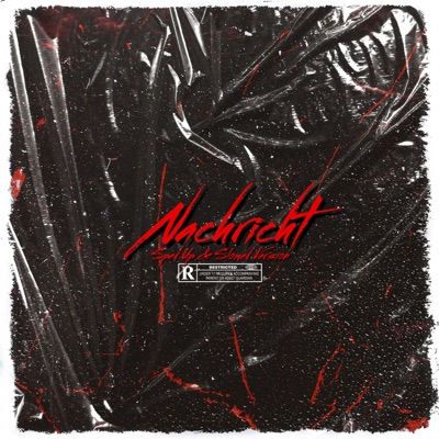 Nachricht (Sped Up & Slowed Version) [feat. ERR0R] - Single