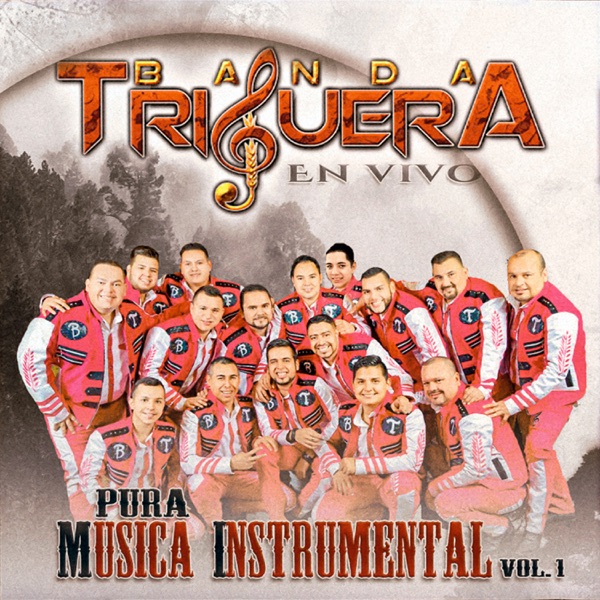 Pura Música Instrumental, Vol. 1