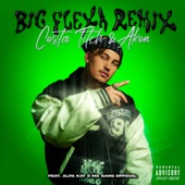 Big Flexa (feat. Ma Gang Official & Alfa Kat) [Remix] artwork