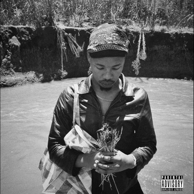 Peace of Mind (feat. Lanzeey) - Single