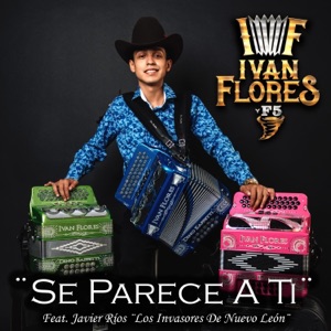 Se Parece A Ti (feat. Los Invasores De Nuevo León)