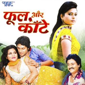 Phool Aur Kaante (Original Motion Picture Soundtrack)