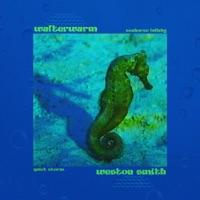Seahorse Lullaby / Quiet Storm - Single - WalterWarm & Weston Smith