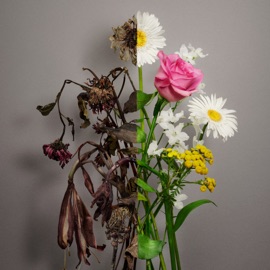 Scented Things YESUNG