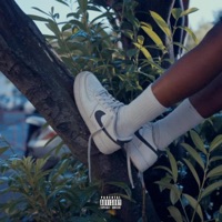 Tomber pour mieux se relever - Single - Diddi Trix