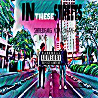 In These Streets - Single - NoMaskGang Von & Shredgang Mone