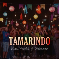 Tamarindo - Single - Desire Mandrile & Blaximental