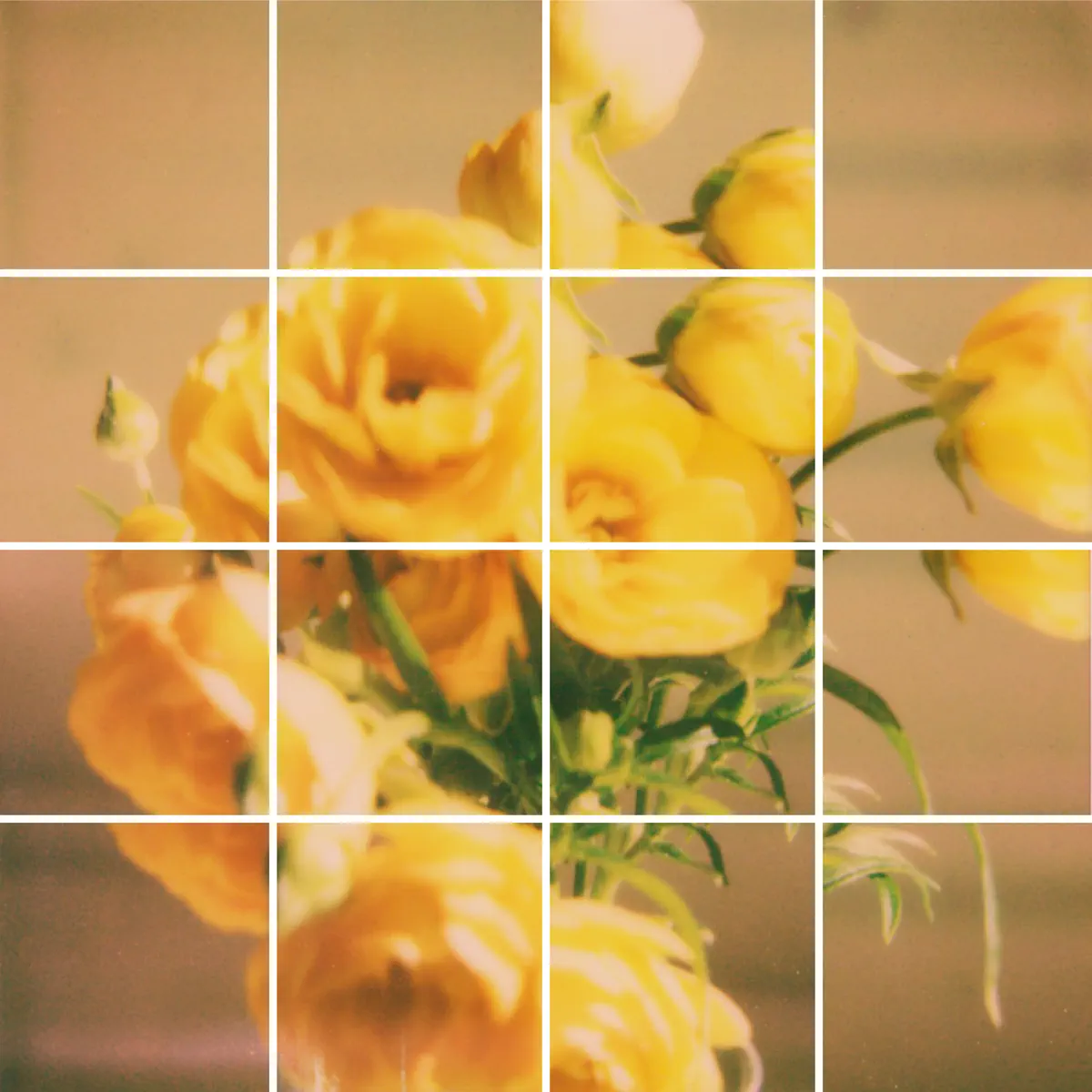 野田愛実 – bae – Single (2024) [iTunes Plus AAC M4A]-新房子