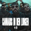 CANNABIS IN DEN LUNGEN - Single