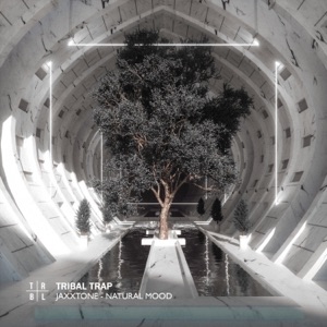 Natural Mood - EP