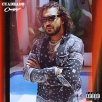 MUCHO FLOW - Single - OneSaf