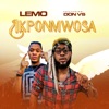 Ikponmwosa (feat. Don vs) - Single