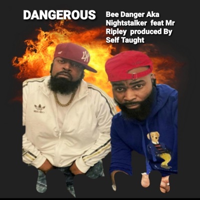 Dangerous (feat. Mr Ripley) - Single