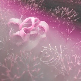 Сон (feat. whyalive) sociopathh