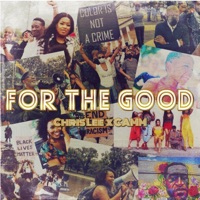 For the Good (feat. Camm) - Single - Chris Lee