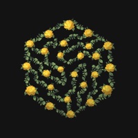 Rose - Single - Elenne