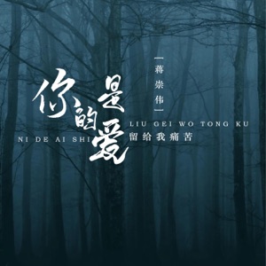 是你的爱留给我痛苦 - EP