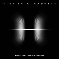 Step Into Madness - Single - Konata Small & SWWARMS