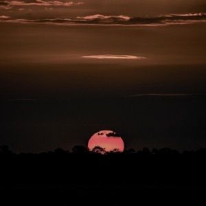 Peace (Slowed + Reverb) - Single