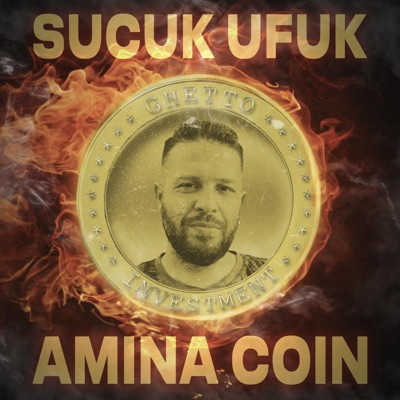 Amina Coin