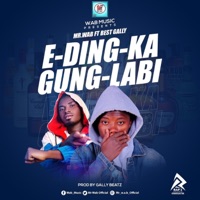 E Ding Ka Gung La Bi (feat. Best Gally) - Single - Mr WAB