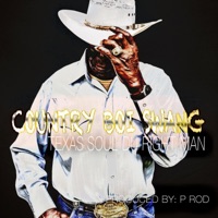 Country Boi Swang - Single - Mr Du Right