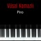 Piro - Vüsal Namazlı lyrics