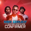 Confirmer - Single (feat. Tidiane Mario & Zaparo De Guerre) - Single