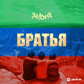 Братья Anora