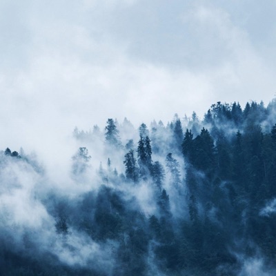 Chill Factor - Single