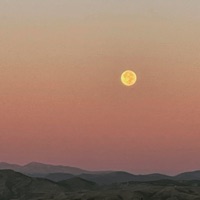 One Lie - Single - Meech Maine