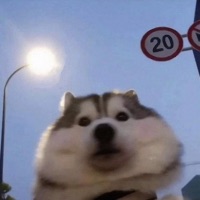 Acceleracers (feat. 1Sloan) - Single - thrml