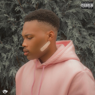 Lost In The Woods - EP